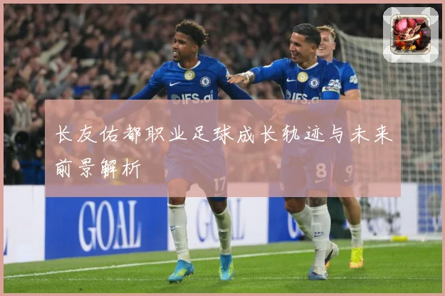 长友佑都职业足球成长轨迹与未来前景解析