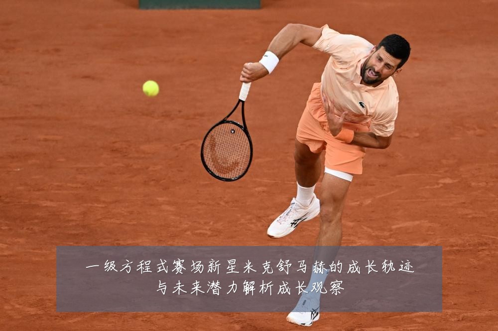 一级方程式赛场新星米克舒马赫的成长轨迹与未来潜力解析成长观察